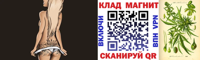 Гашиш Суджа