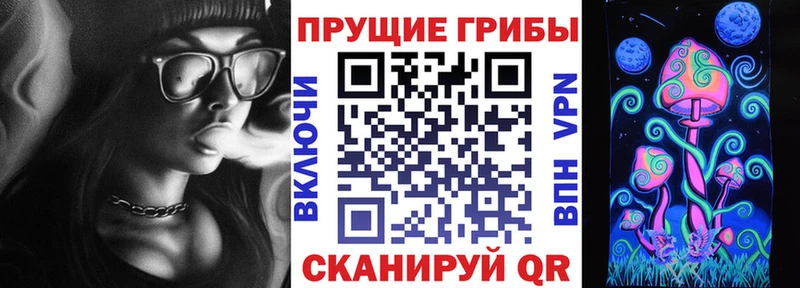 сайты даркнета телеграм  Суджа  Галлюциногенные грибы ЛСД  где продают   hydra зеркало 